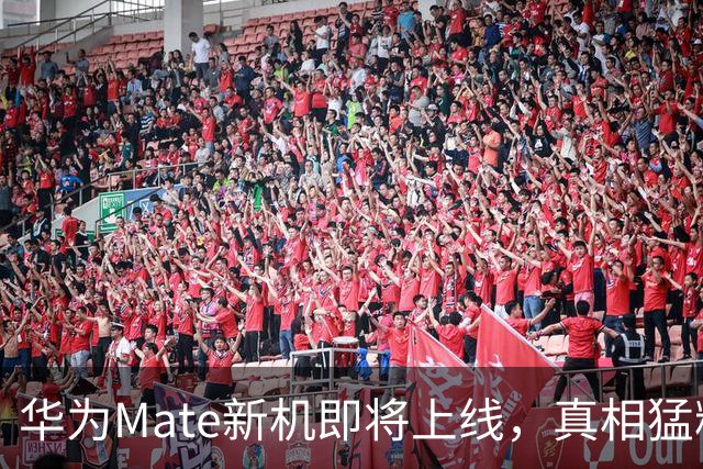 华为Mate新机即将上线，真相猛料提前曝光！