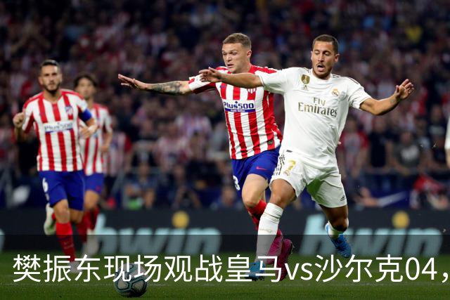 樊振东现场观战皇马vs沙尔克04，并发文：hala madrid
