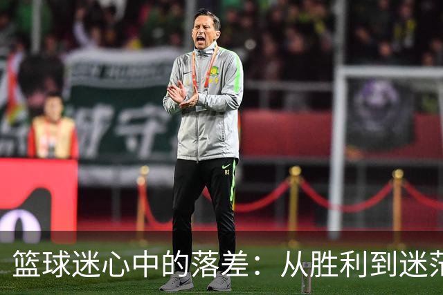 篮球迷心中的落差：从胜利到迷茫